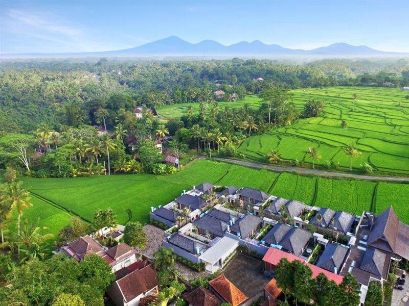 Asvara Villa Ubud Exteriör bild