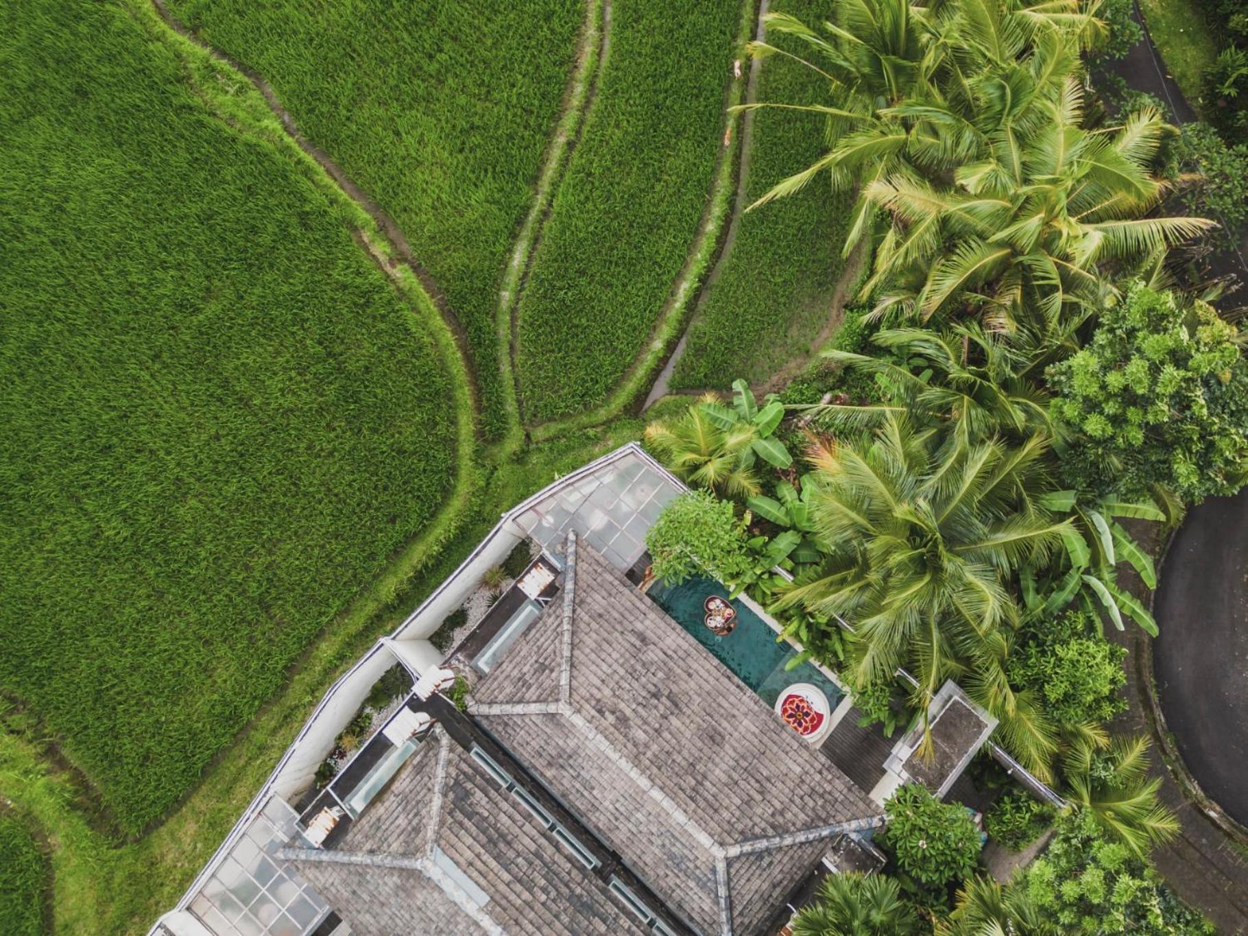 Asvara Villa Ubud Exteriör bild