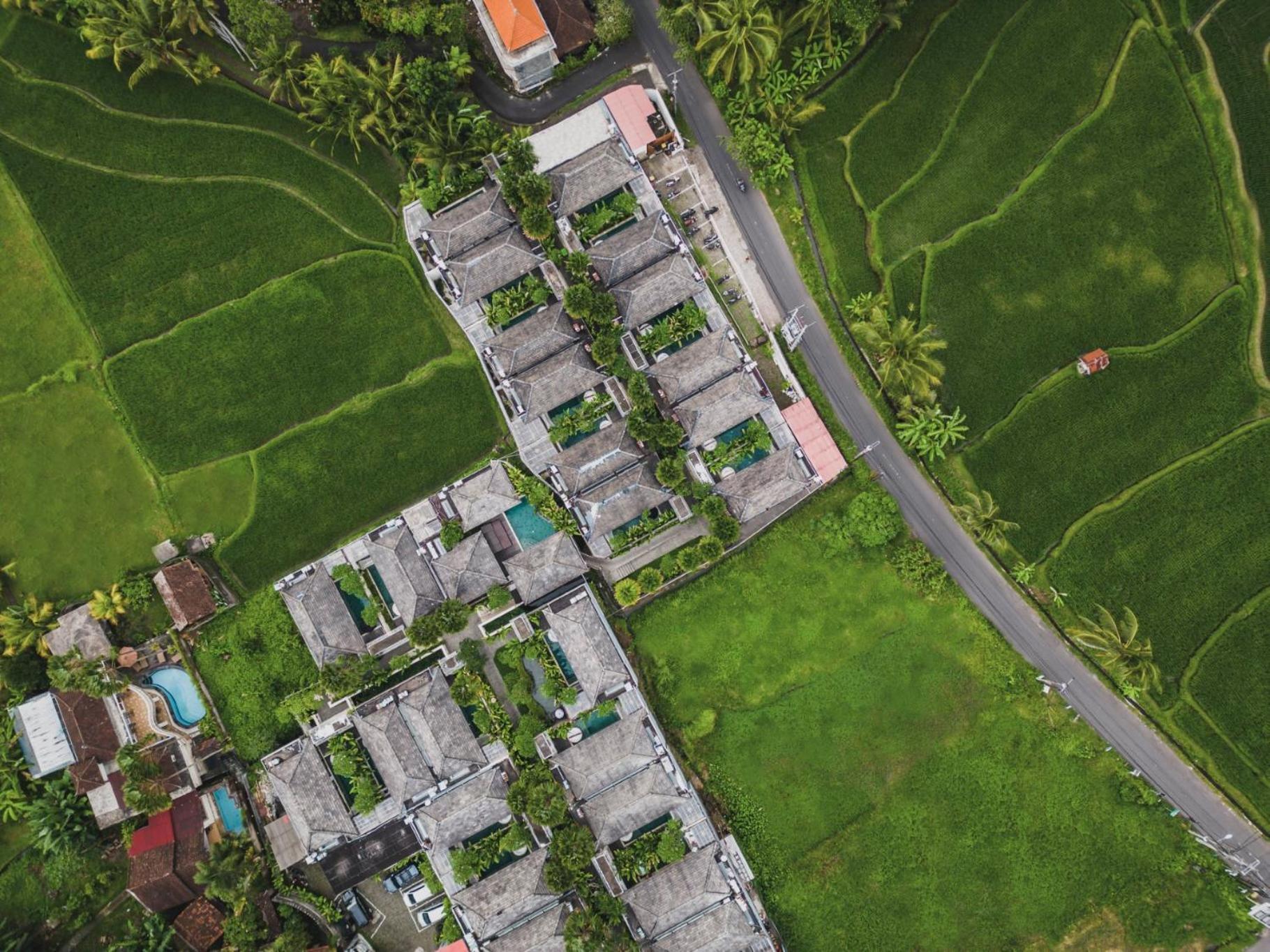 Asvara Villa Ubud Exteriör bild