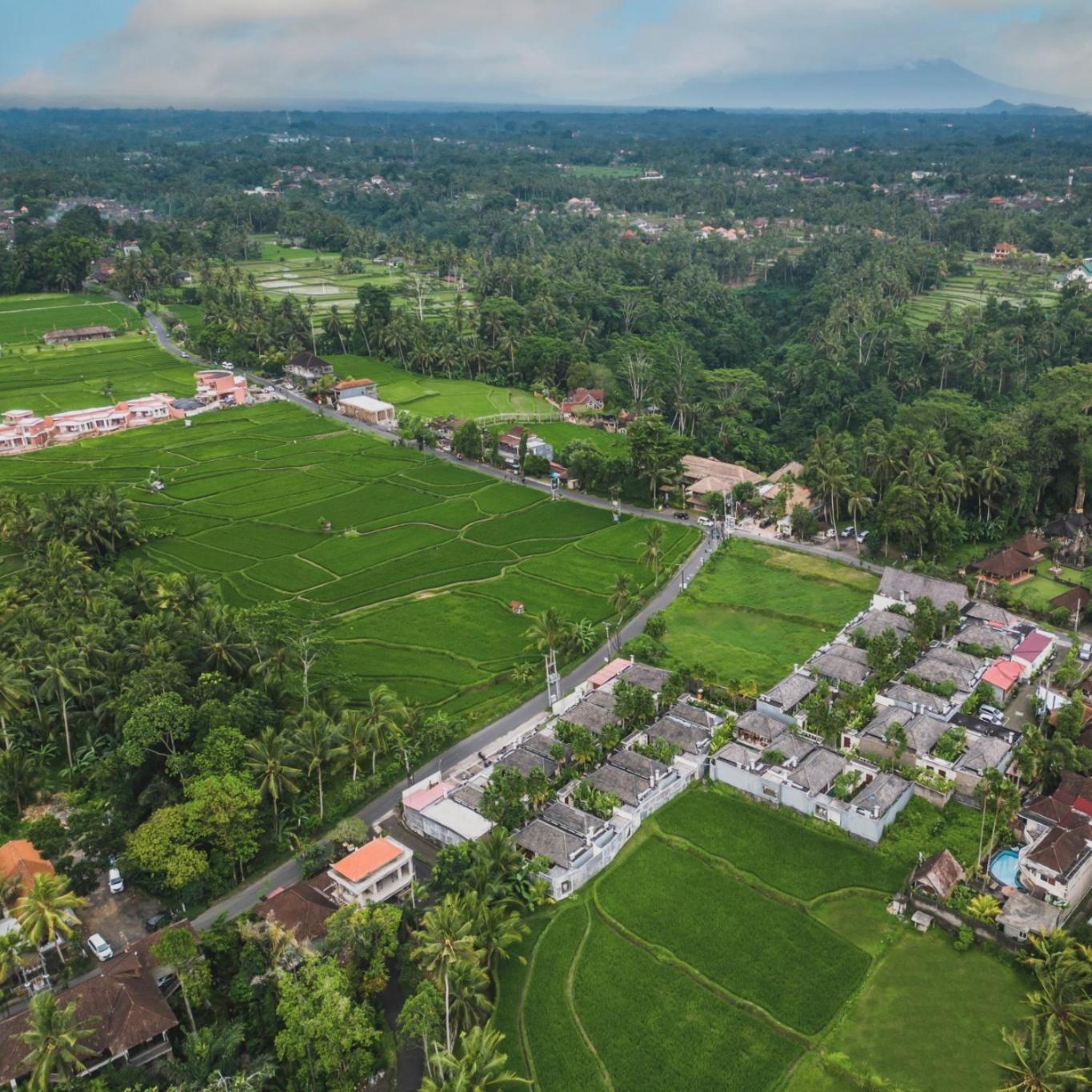 Asvara Villa Ubud Exteriör bild